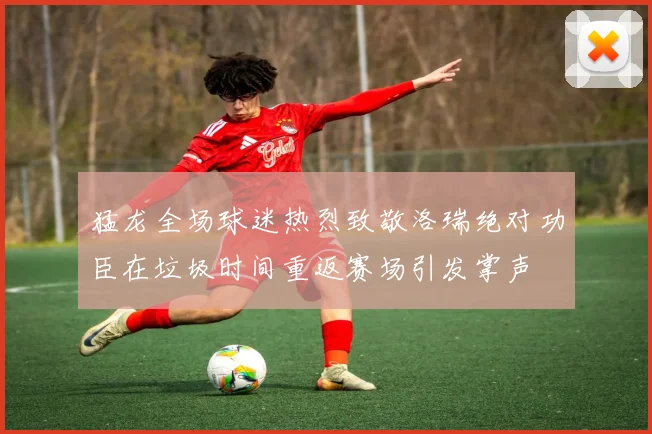 猛龙全场球迷热烈致敬洛瑞绝对功臣在垃圾时间重返赛场引发掌声