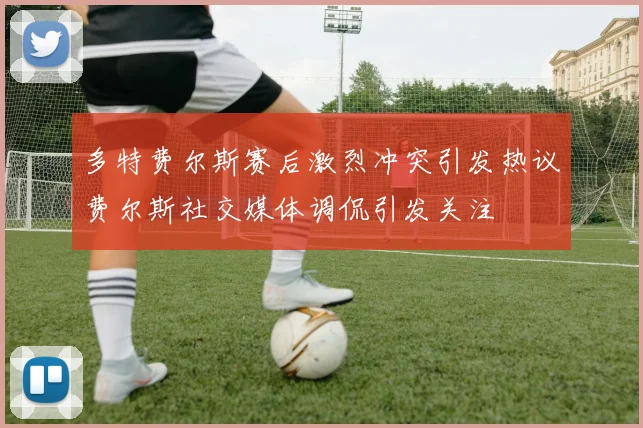 多特费尔斯赛后激烈冲突引发热议费尔斯社交媒体调侃引发关注