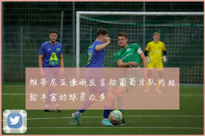 维蒂尼亚谦逊发言称葡萄牙队内经验丰富的球员众多